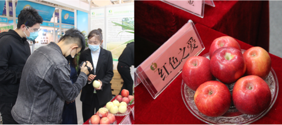 6f56be901bba45d98742f4e859e3167b.png 6f56be901bba45d98742f4e859e3167b.png