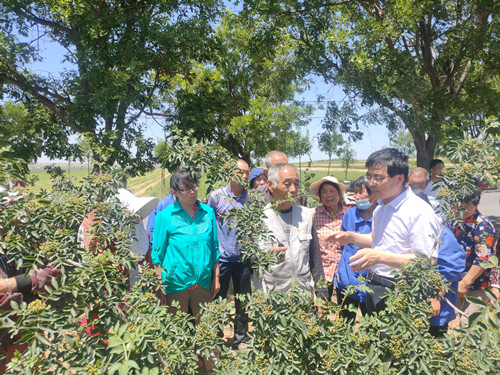 e276ab42da3746bf9e7c79d01e040da8.jpg 林六合彩结果
刘永红副研究员讲解花椒种植技术_副本.jpg