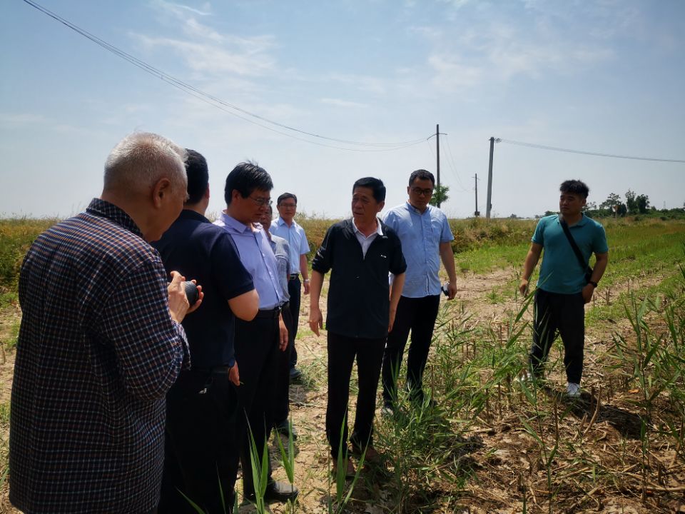 7d22423c35b549d382a753d191b857e7.jpg 7d22423c35b549d382a753d191b857e7.jpg