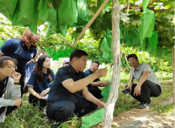 648ef844517a47a1898459ccdd3824c0.png 648ef844517a47a1898459ccdd3824c0.png