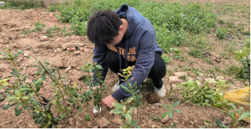 054900d054084295abfdc86f977463c0.png 054900d054084295abfdc86f977463c0.png