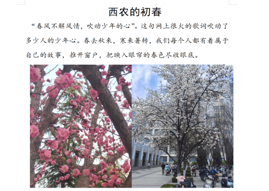 22f39227709747928d415c28803c57e7.png 22f39227709747928d415c28803c57e7.png